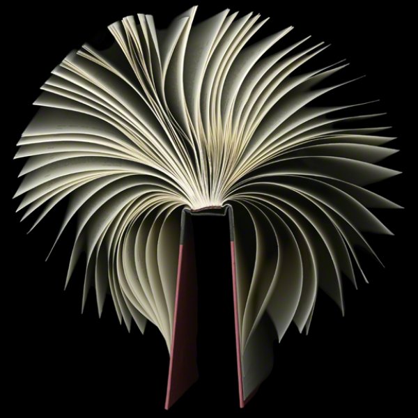 необычные книги, Кэра Бэрер, Cara Barer, дизайнерские книги, экспериментальный проект