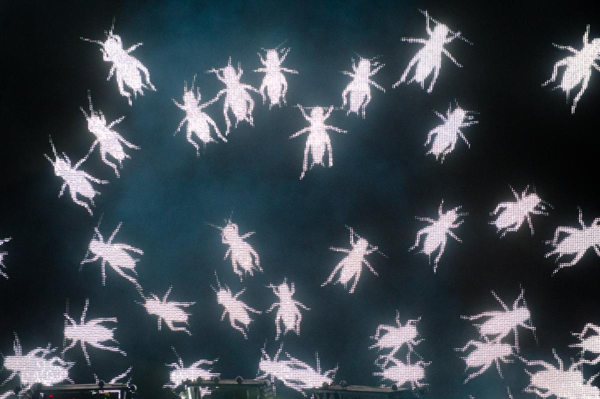 кемикал бразерс, chemical brothers 2011, chemical brothers фото, концерт the chemical brothers, chemical brothers в москве