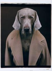 max mara выставка, выставка пальто max mara, выставка max mara в москве, coats max mara выставка 