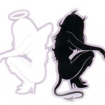 dj - Fallen Gemini