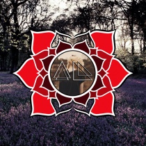 dj - Analog Lotus