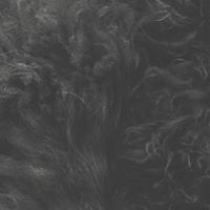 dj - Cashmere Cat