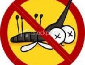 dj - DeaDMosQuito