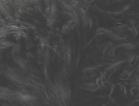 dj - Cashmere Cat