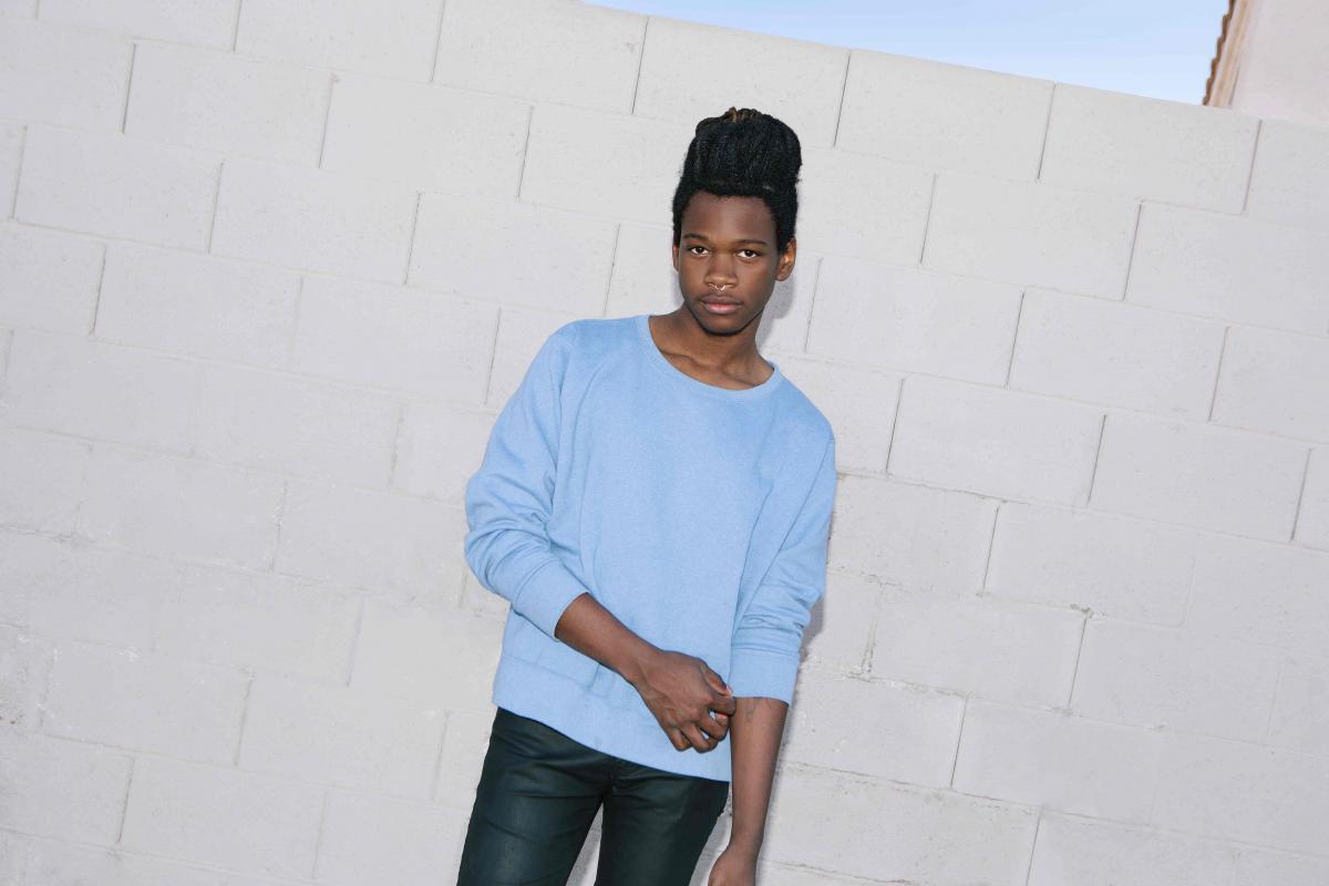 flow_shamir.jpg