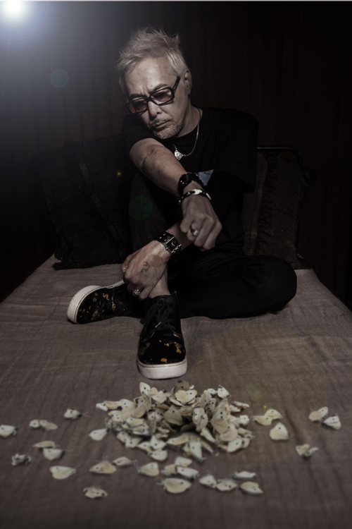 krush_bed4_500.jpg