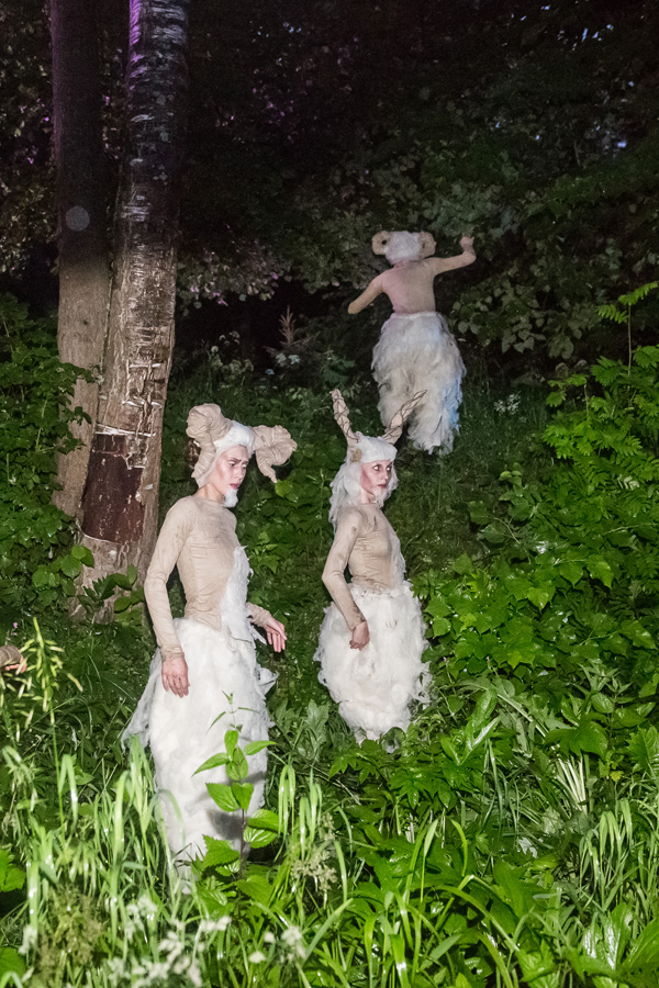 midsummer_night_dream_2014_foto_10.jpg