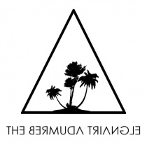dj - The Bermuda Triangle